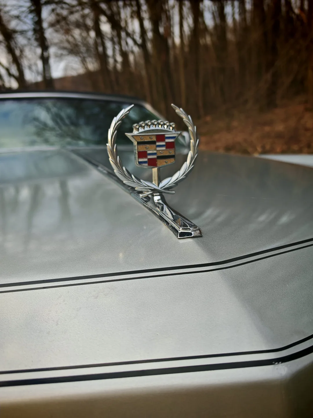 Cadillac Eldorado